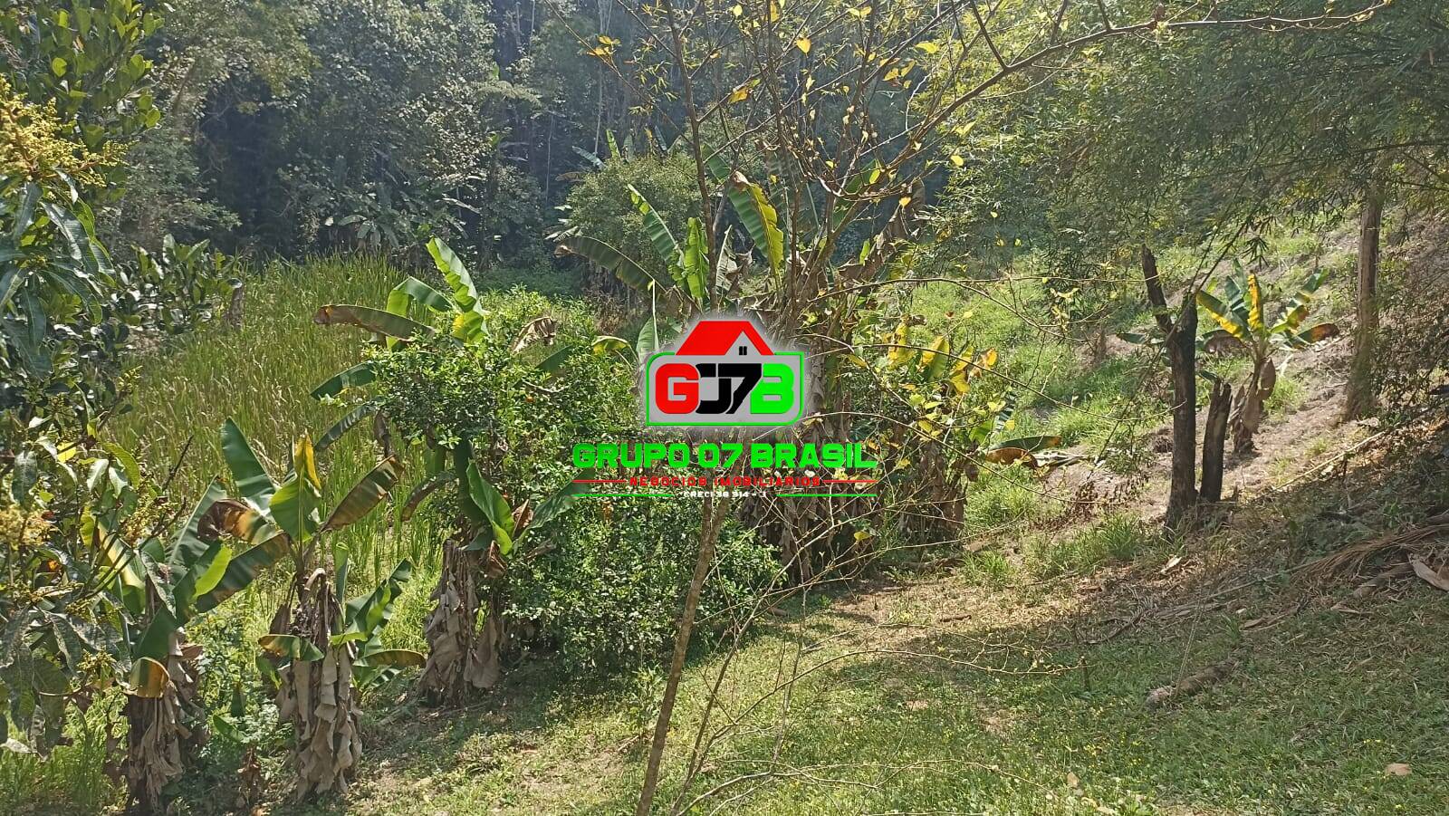 Sítio, 7 quartos, 2 hectares - Foto 31