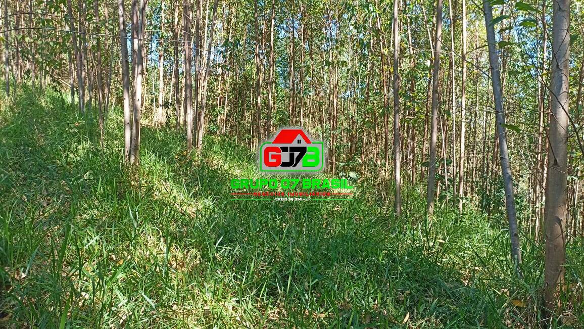 Terreno, 10 m² - Foto 3
