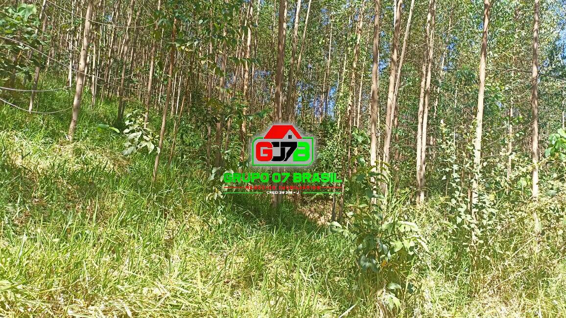 Terreno, 10 m² - Foto 6