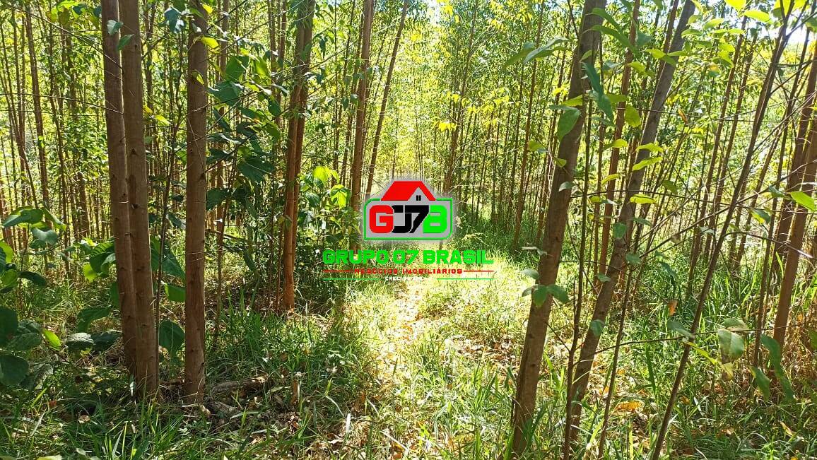 Terreno, 10 m² - Foto 18