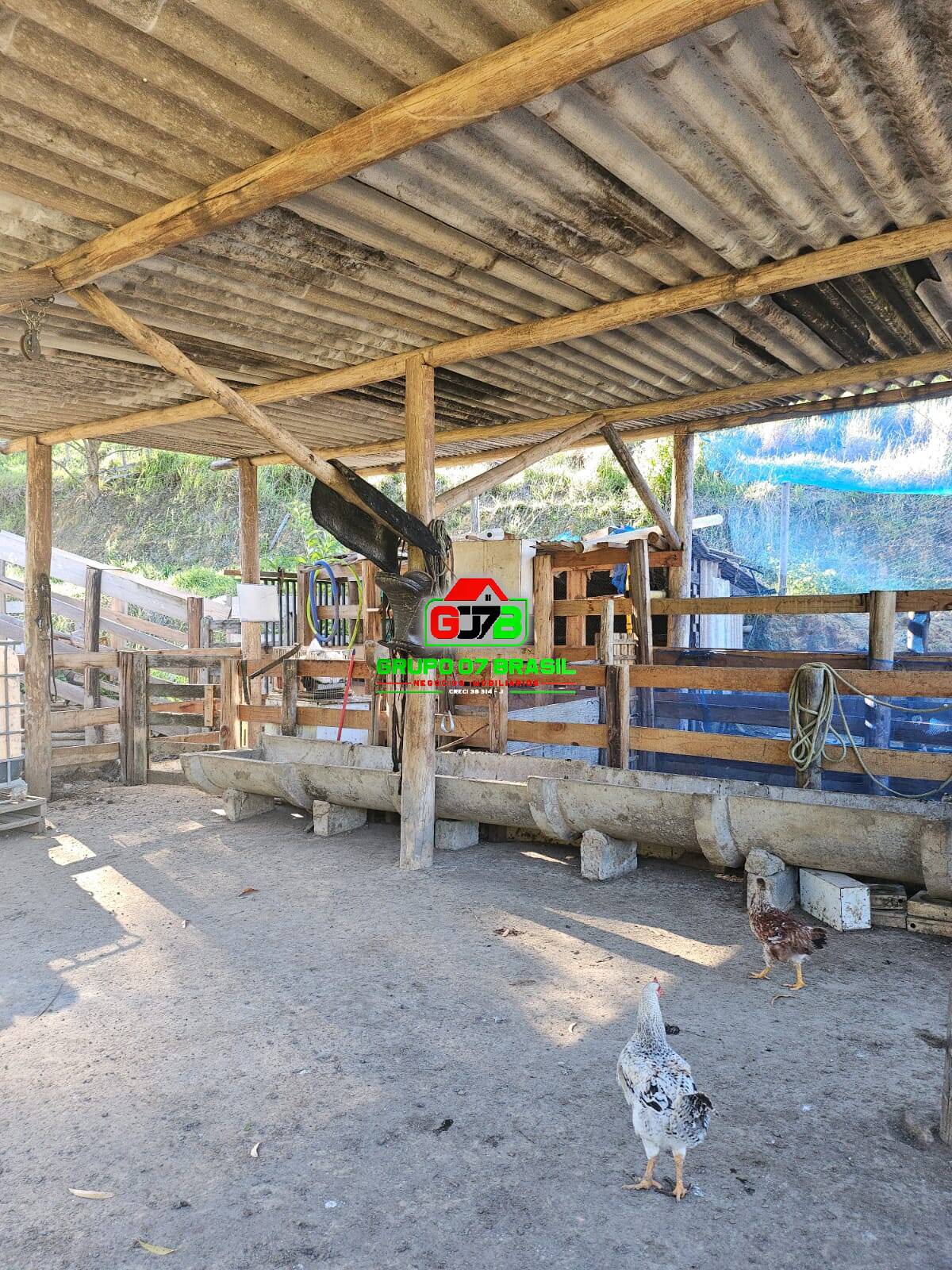 Sítio, 3 quartos, 200 m² - Foto 19
