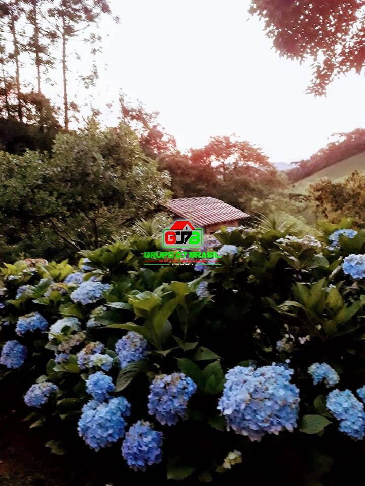 Terreno - Foto 1