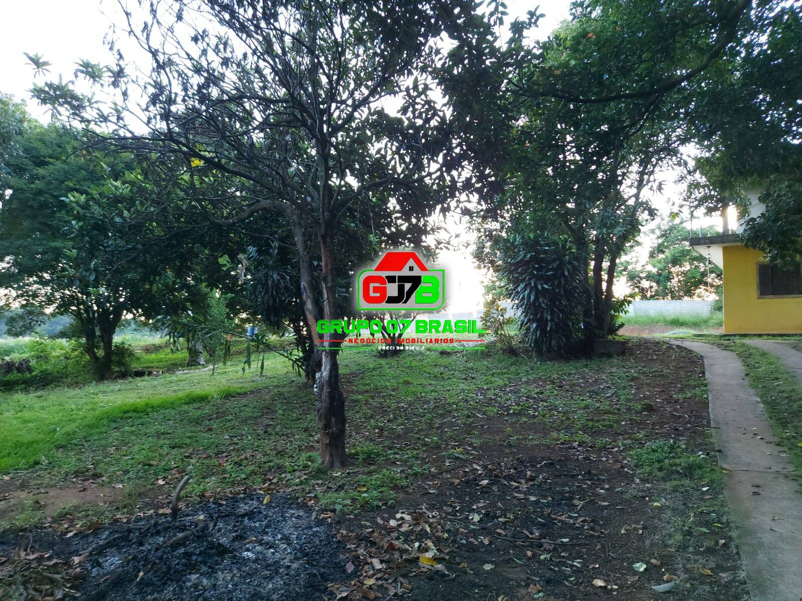 Terreno, 4000 m² - Foto 3