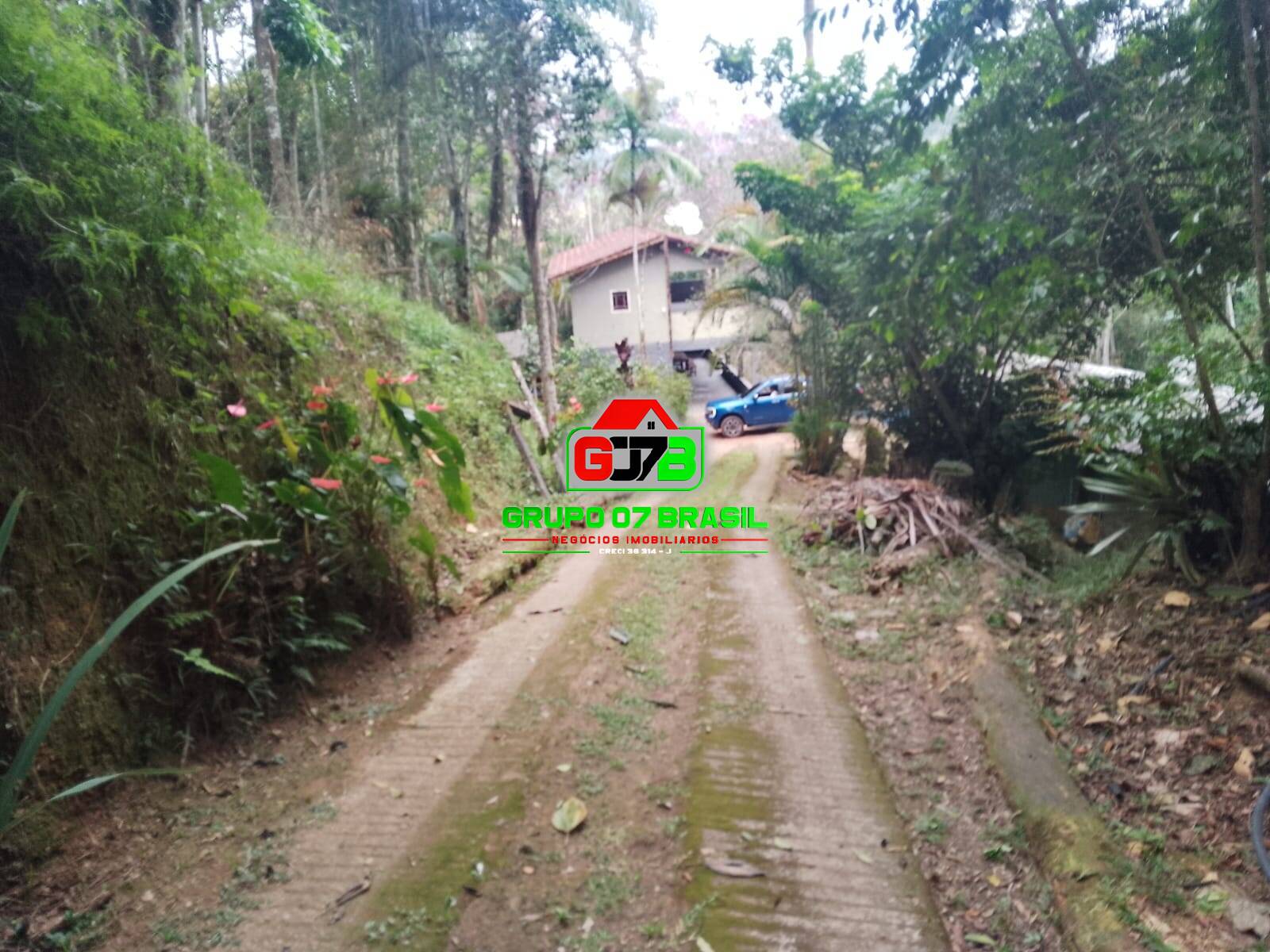 Terreno, 3 hectares - Foto 7