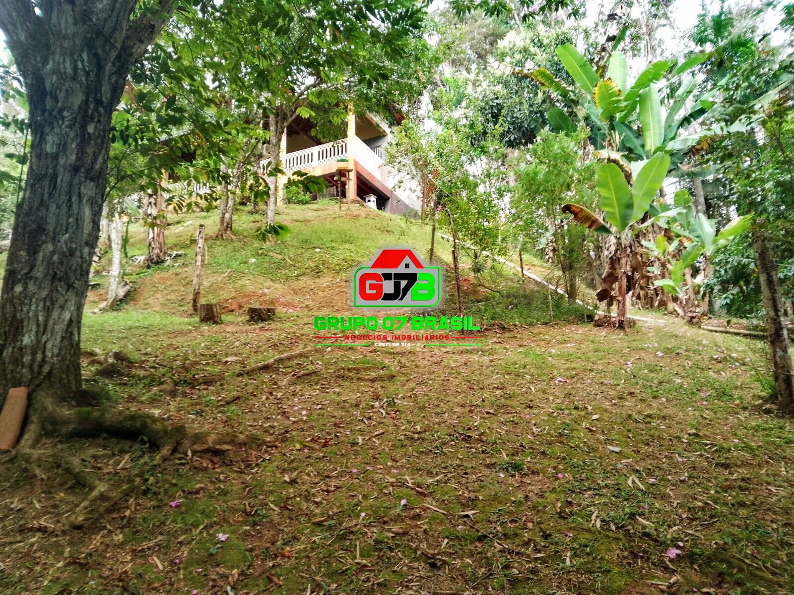 Terreno, 3 hectares - Foto 18