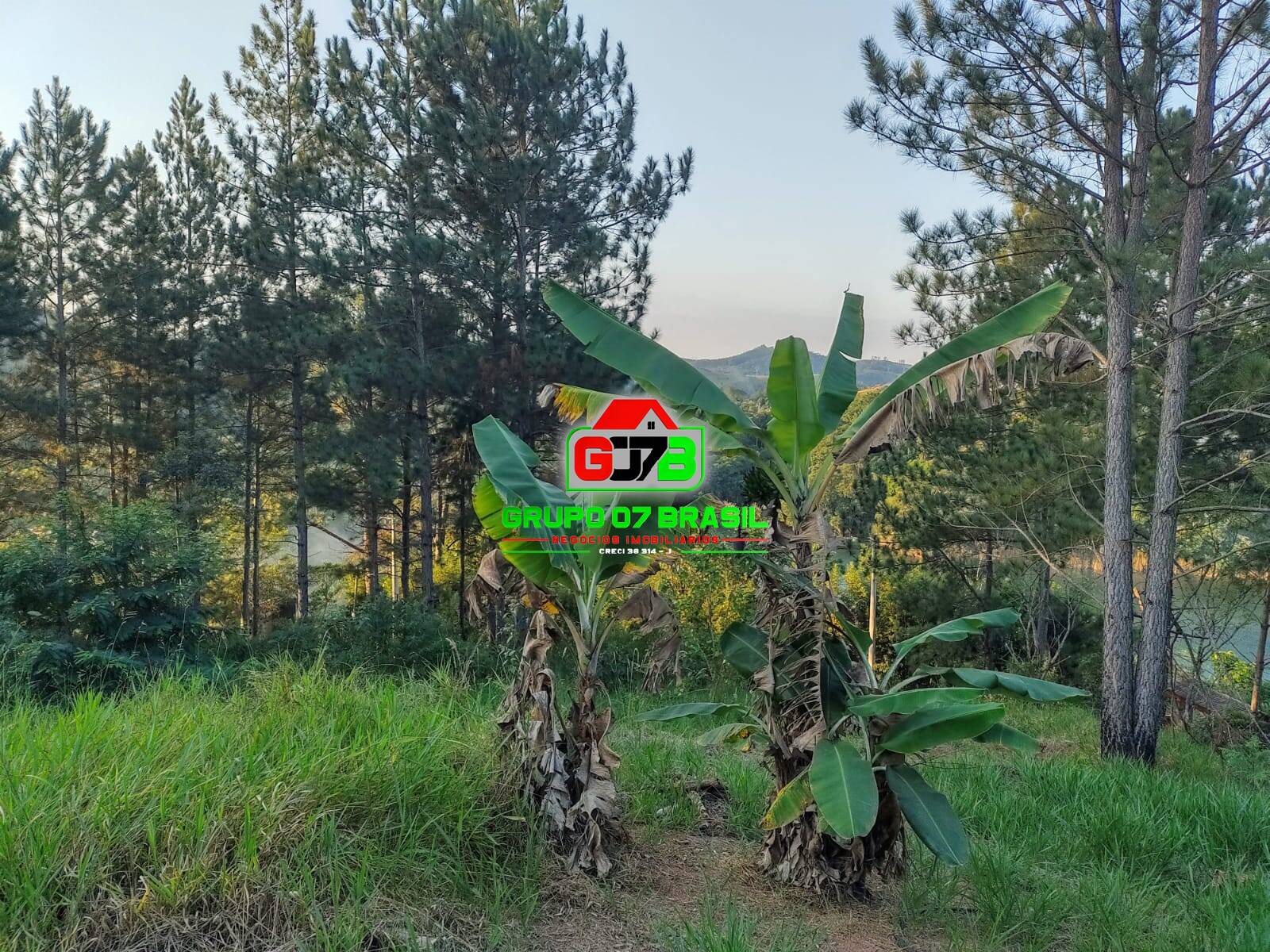 Chácara à venda com 2 quartos, 90m² - Foto 1