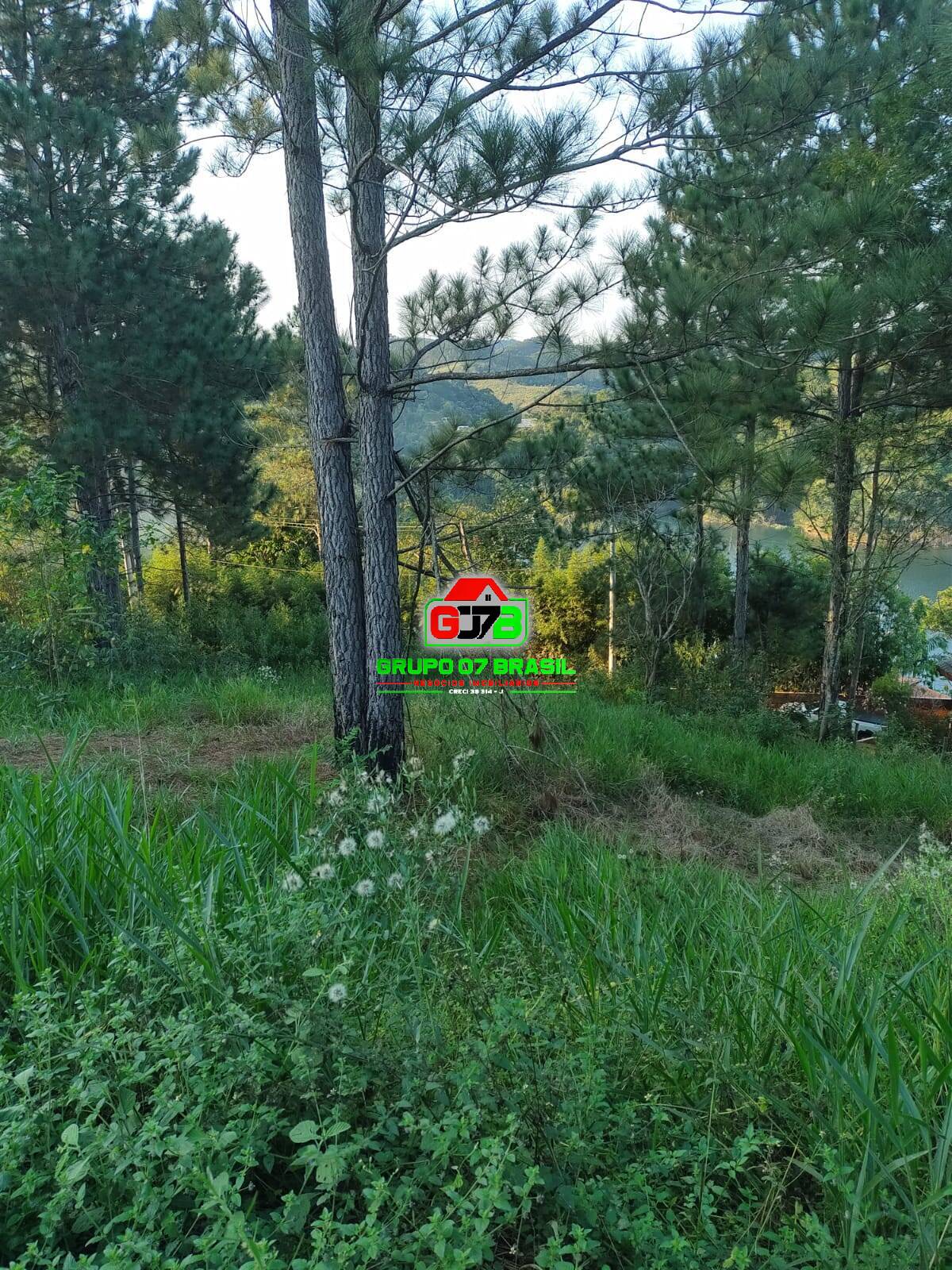 Chácara à venda com 2 quartos, 90m² - Foto 9