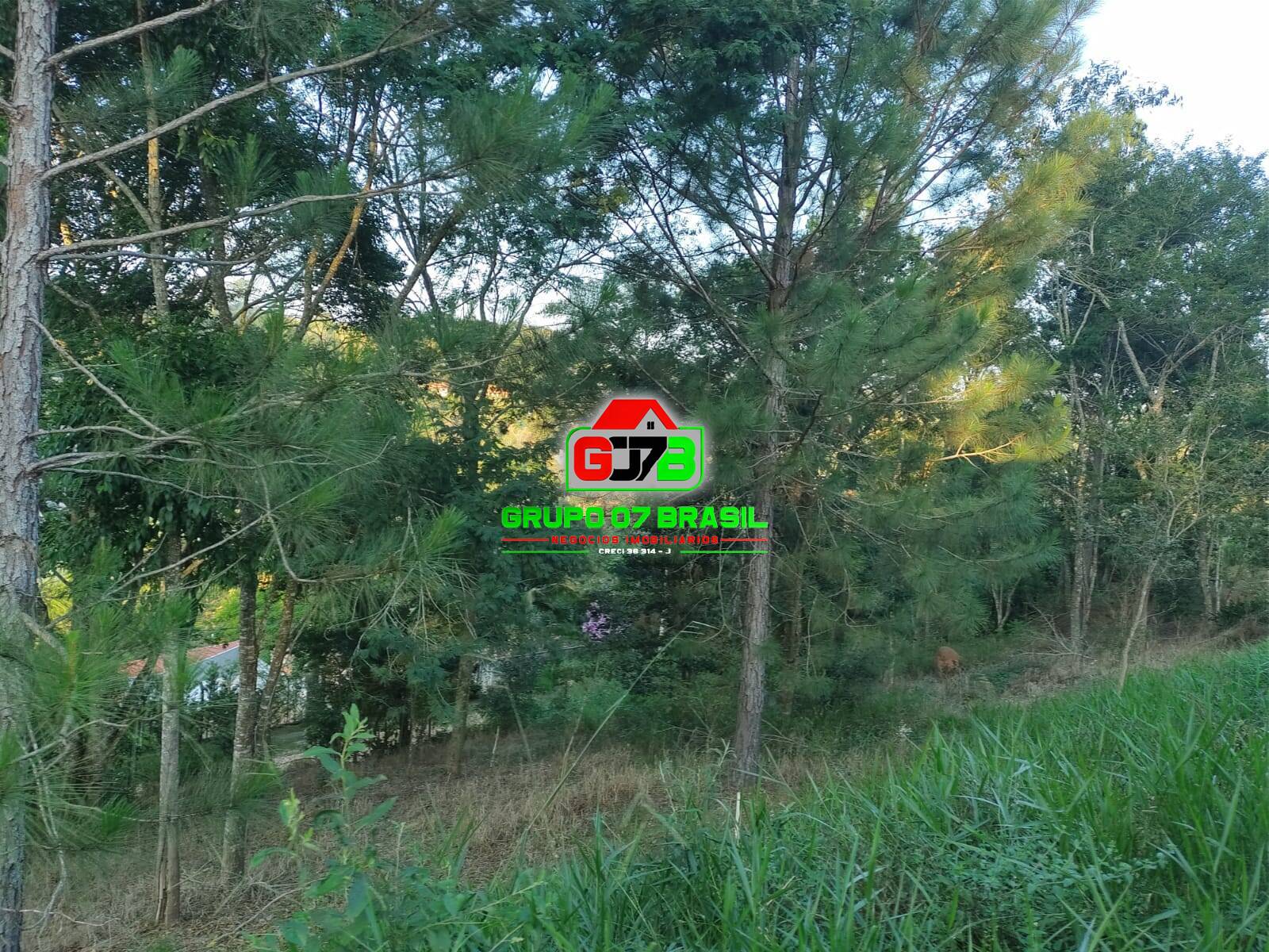 Chácara à venda com 2 quartos, 90m² - Foto 13
