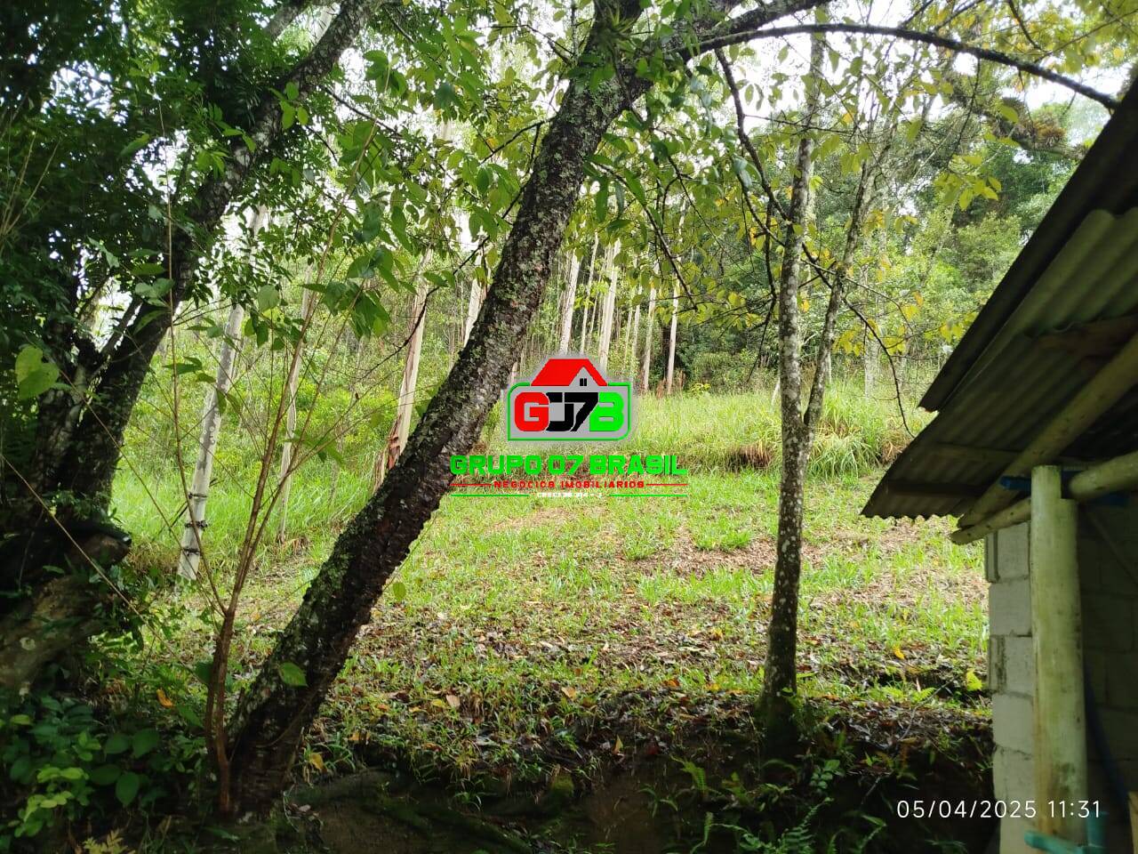 Sítio, 4 quartos, 100 m² - Foto 2