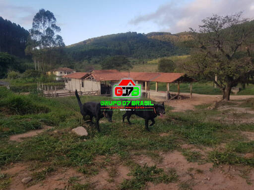 Terreno, 320 m² - Foto 12