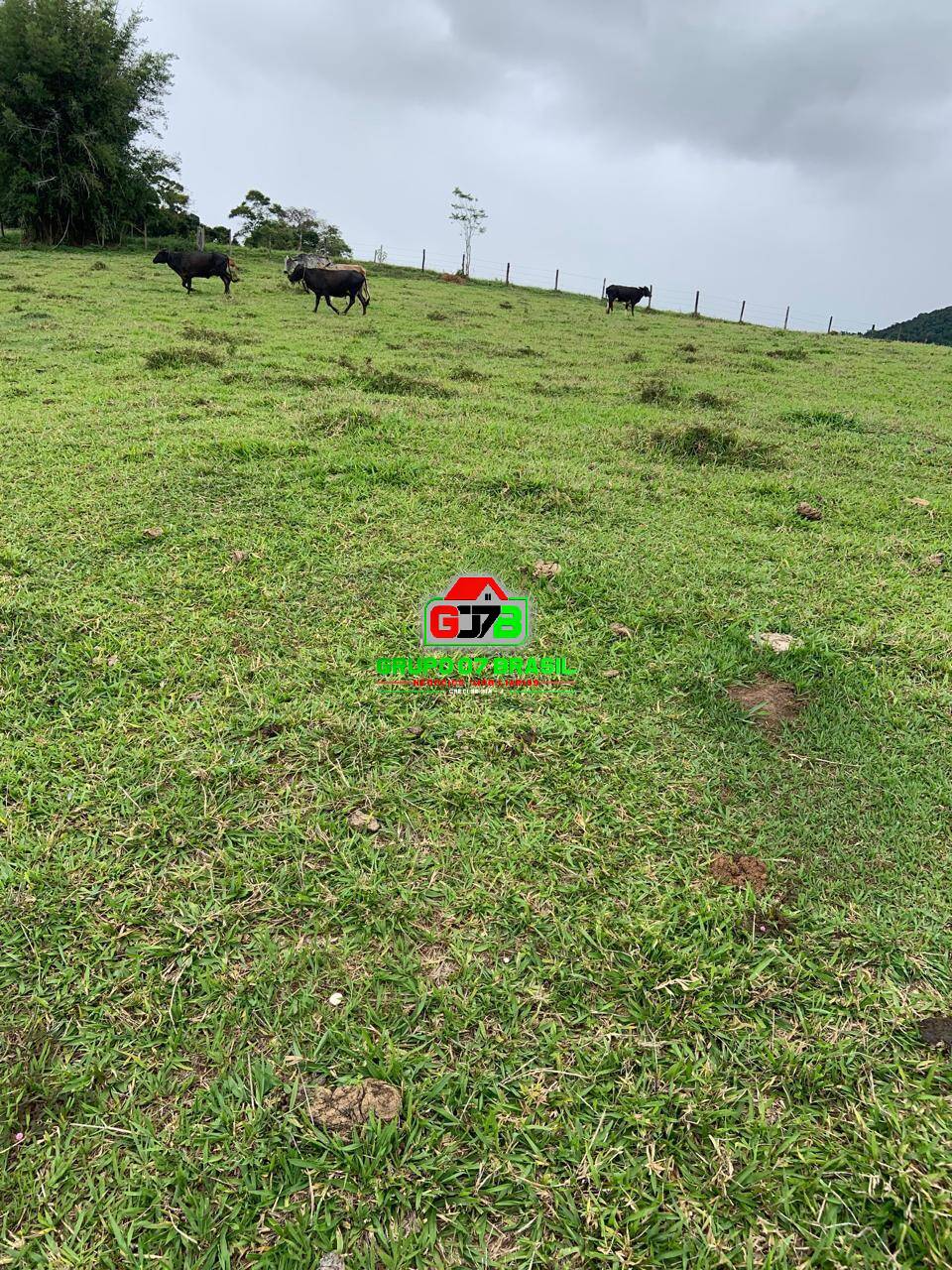 Terreno, 7 m² - Foto 10