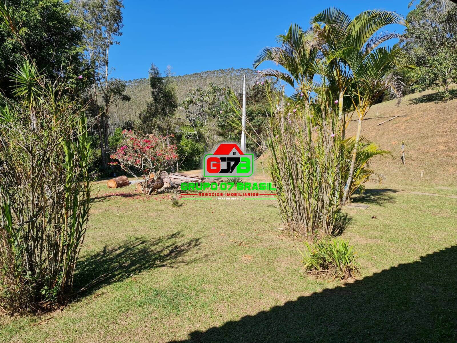 Sítio, 10 quartos, 3 hectares - Foto 7
