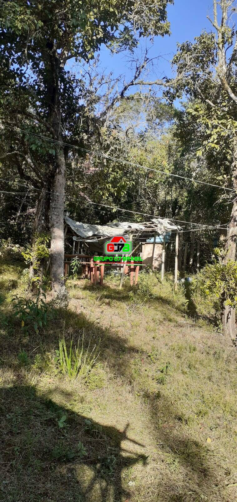 Sítio à venda com 11 quartos, 46500m² - Foto 4