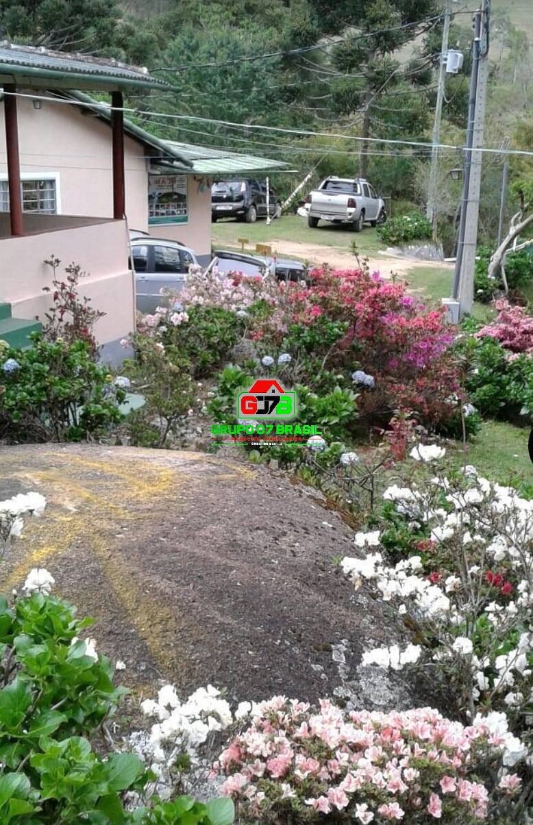 Sítio à venda com 11 quartos, 46500m² - Foto 16