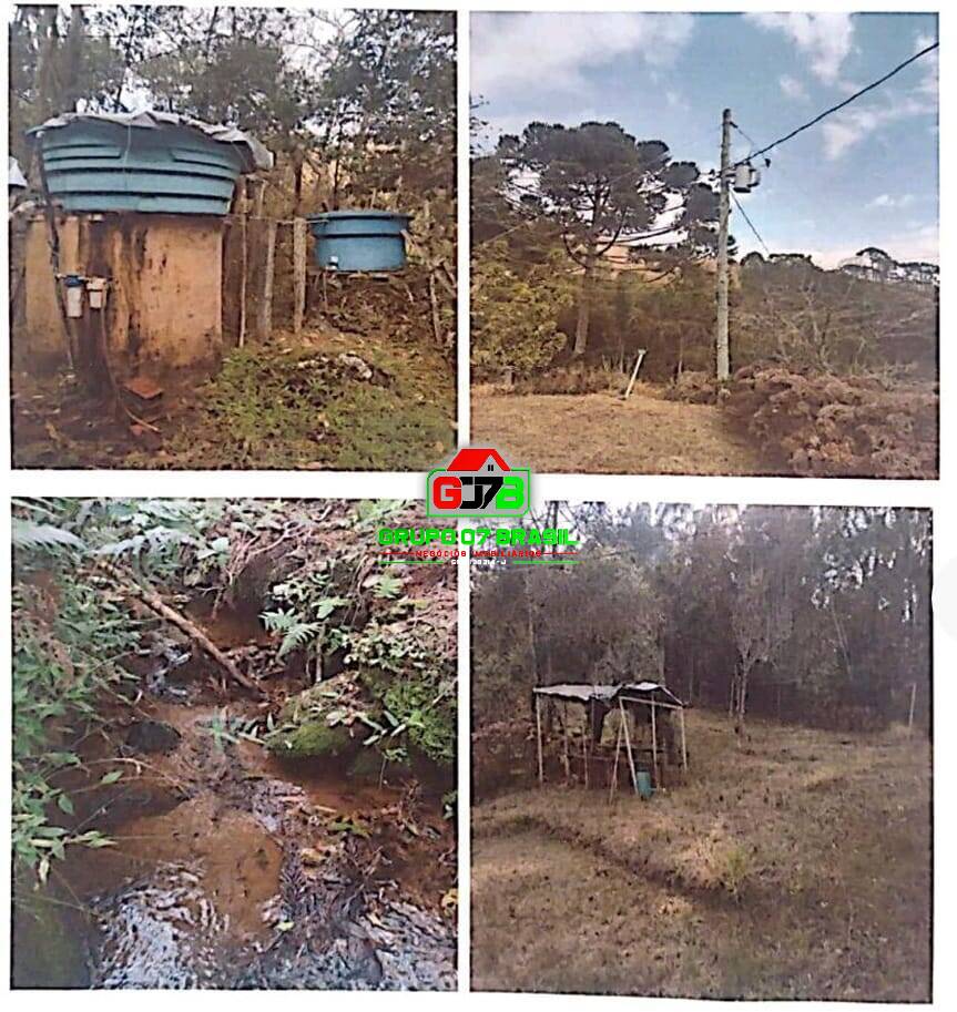 Sítio à venda com 11 quartos, 46500m² - Foto 17