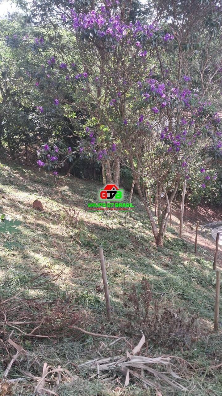 Terreno, 500 m² - Foto 6