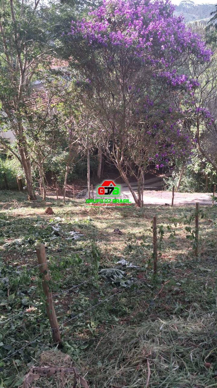 Terreno, 500 m² - Foto 5