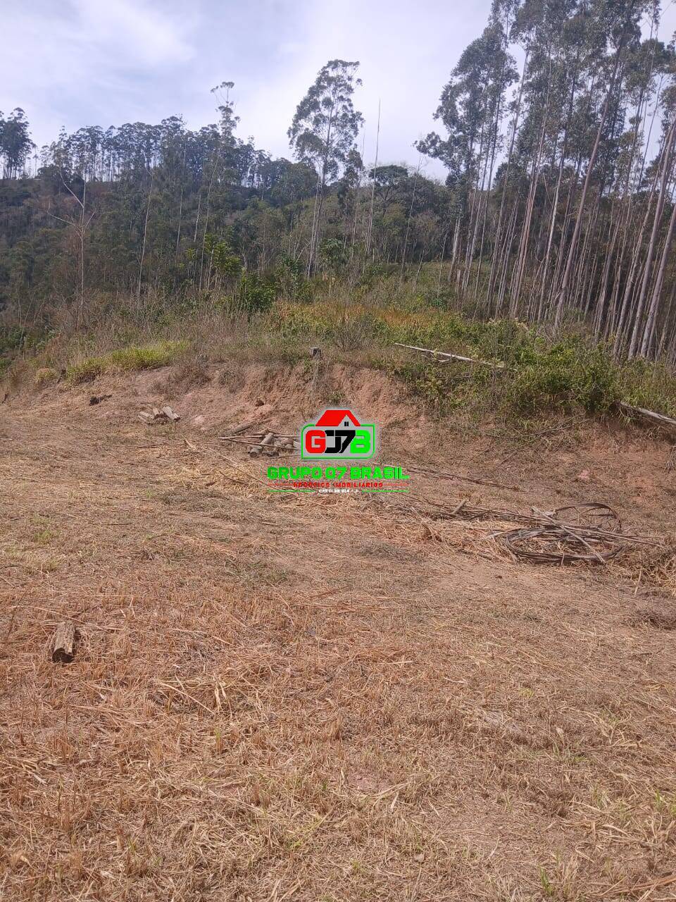 Terreno, 3 hectares - Foto 2