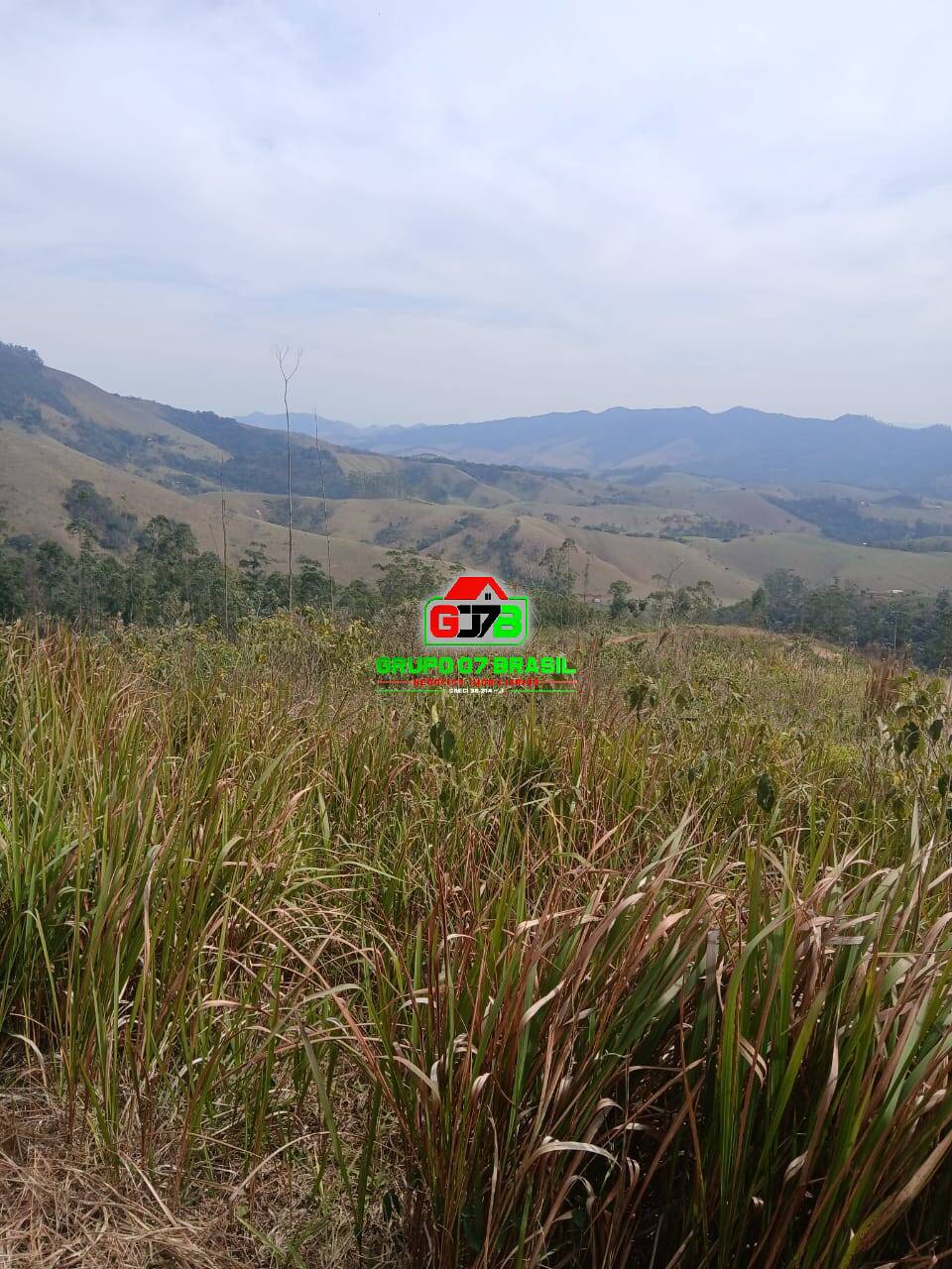 Terreno, 3 hectares - Foto 1