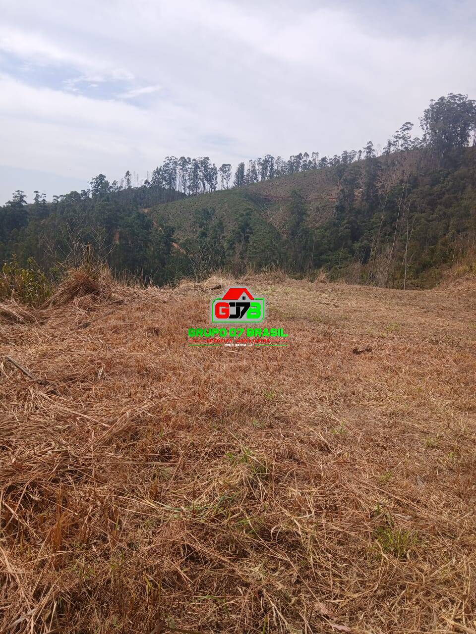 Terreno, 3 hectares - Foto 5