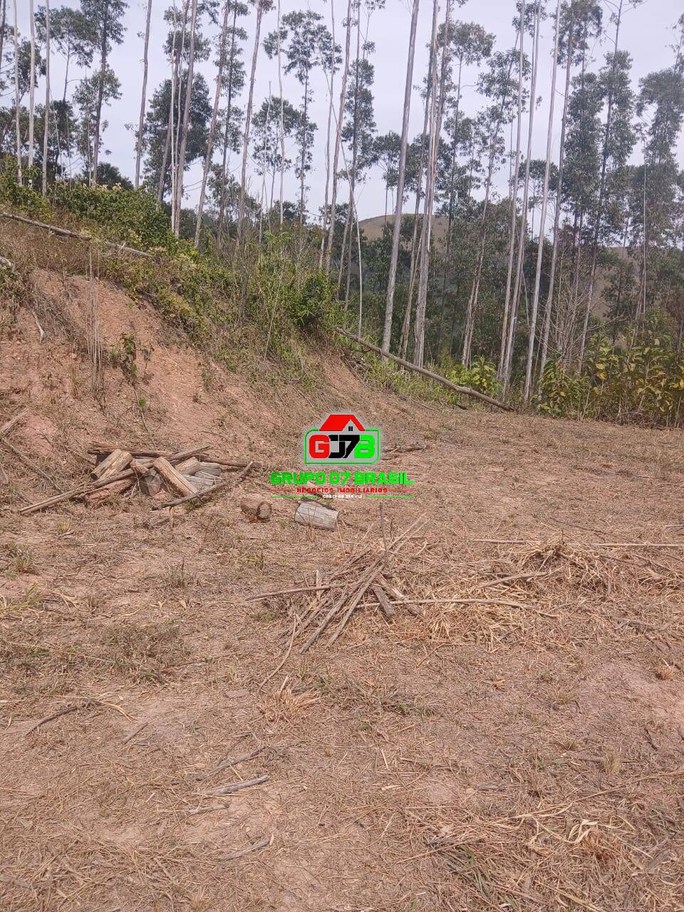 Terreno, 3 hectares - Foto 4