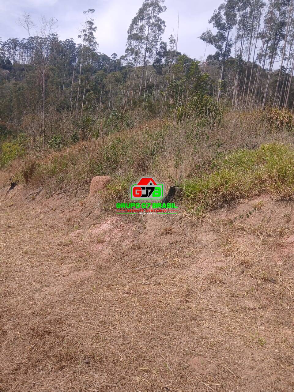 Terreno, 2 hectares - Foto 7