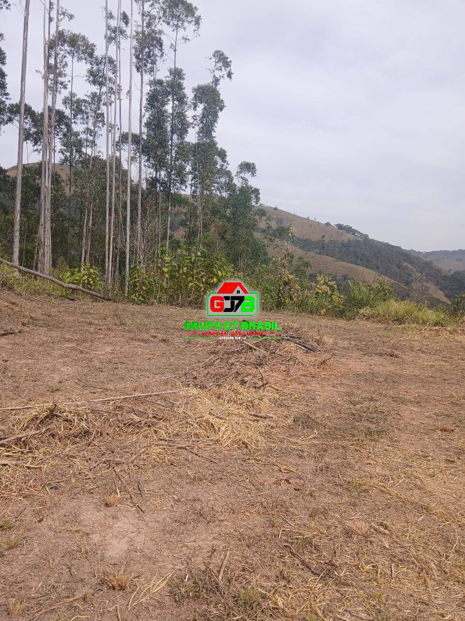 Terreno, 2 hectares - Foto 8