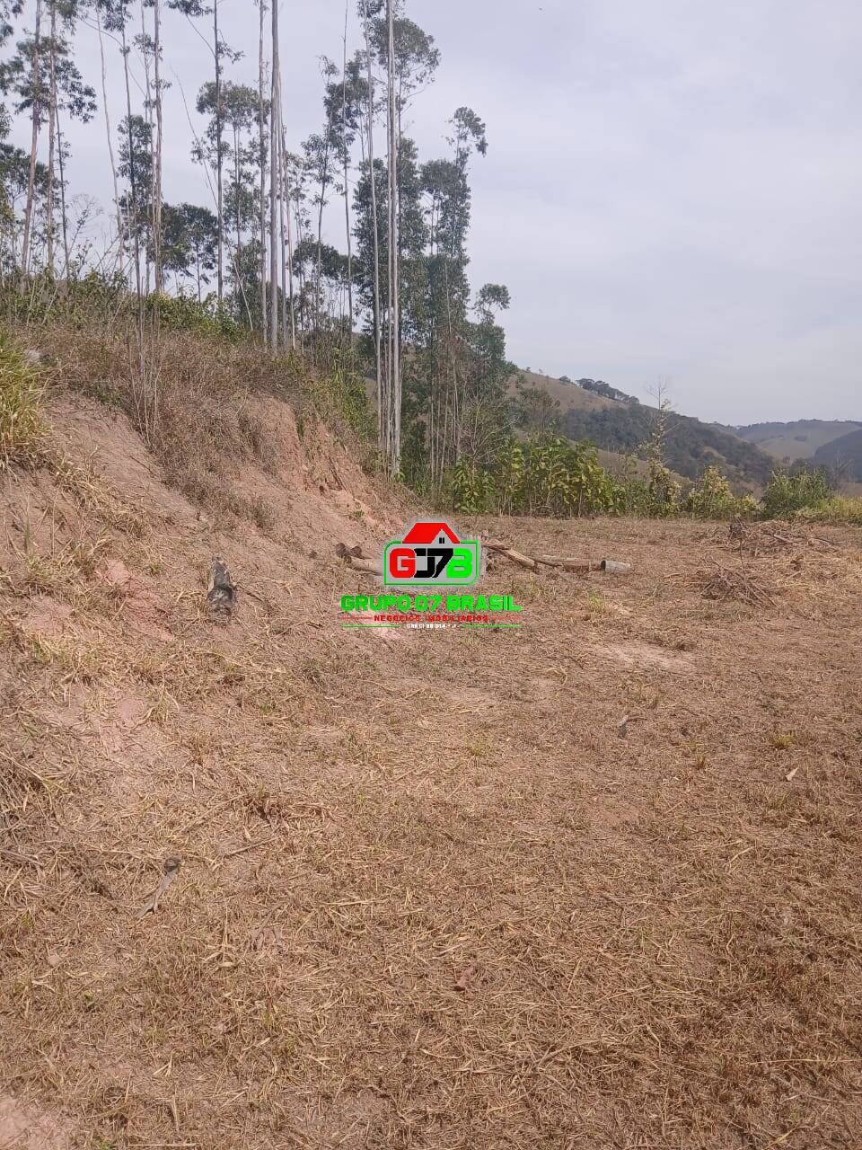 Terreno, 2 hectares - Foto 11