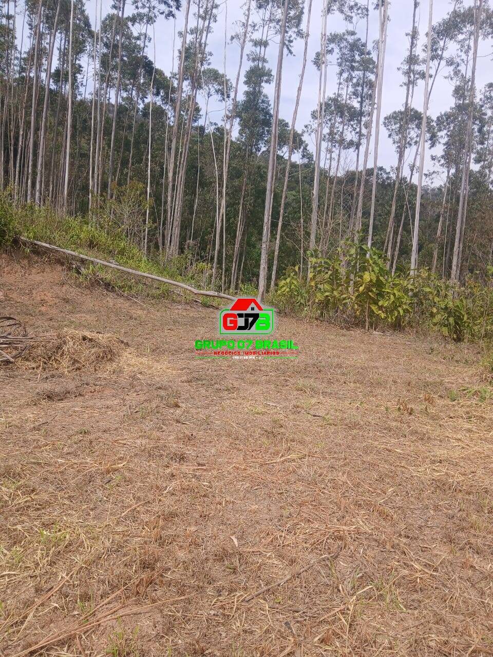 Terreno, 2 hectares - Foto 14