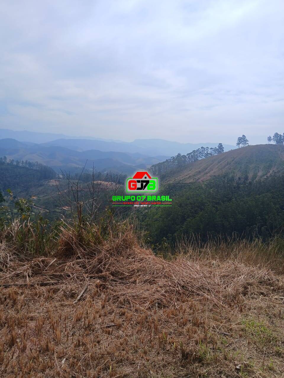 Terreno, 2 hectares - Foto 15