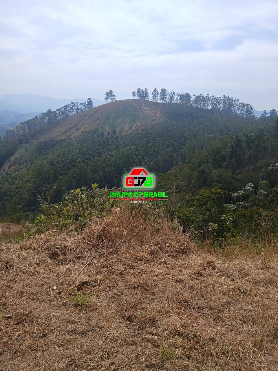 Terreno, 2 hectares - Foto 18