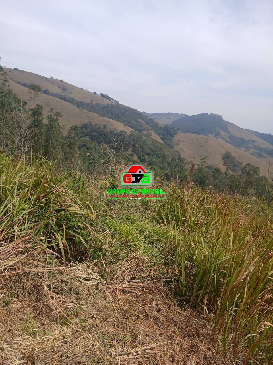 Terreno, 2 hectares - Foto 20