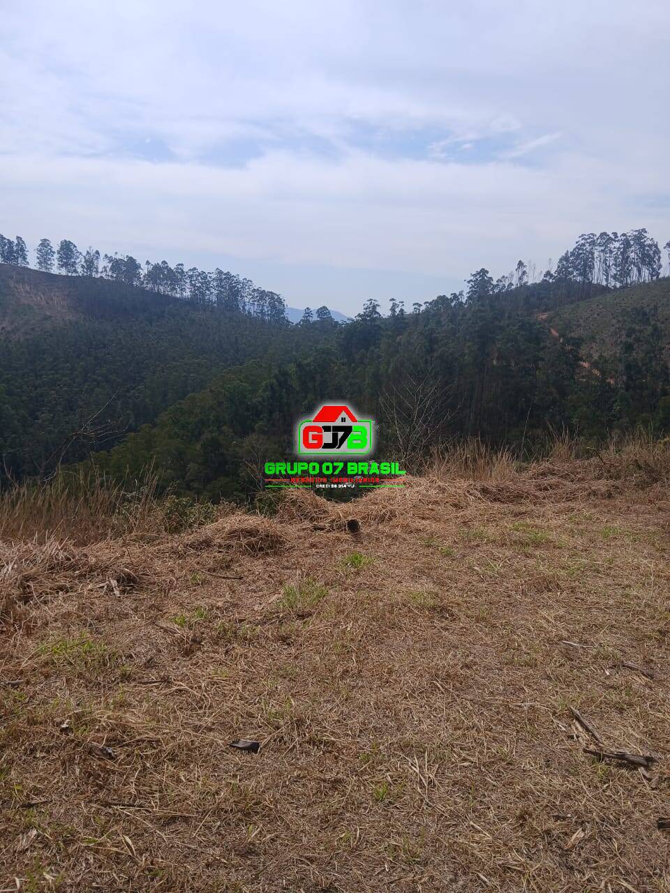 Terreno, 2 hectares - Foto 19