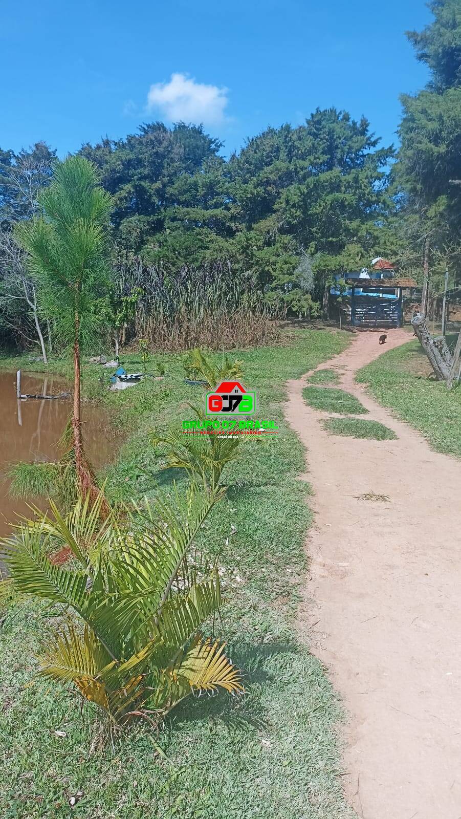 Sítio, 2 quartos, 200 m² - Foto 5