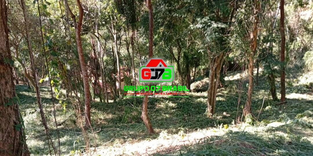 Terreno, 2228 m² - Foto 6