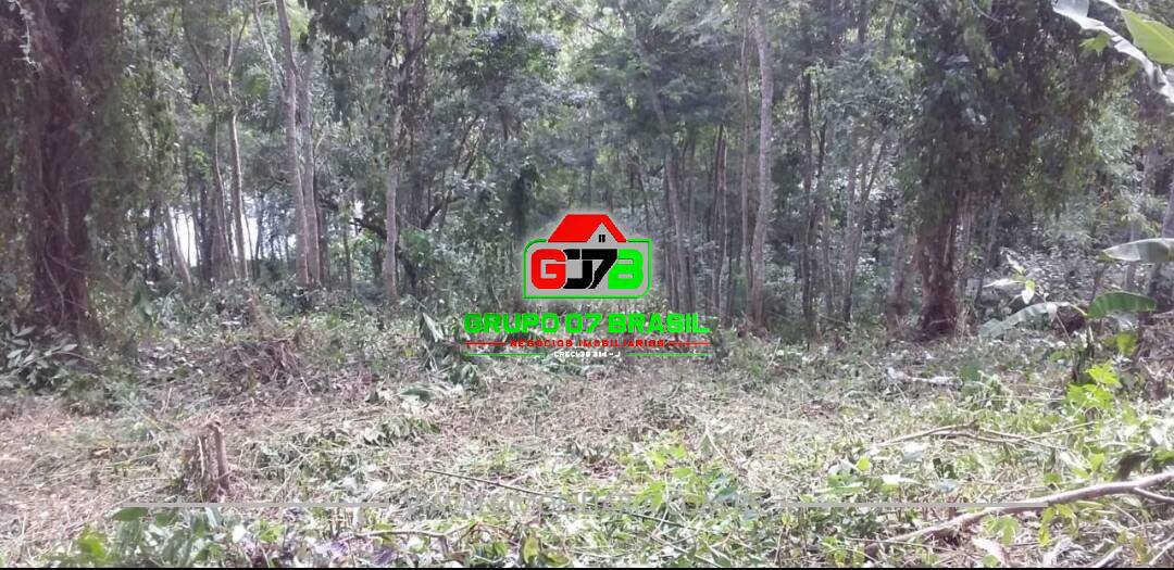 Terreno, 5440 m² - Foto 3