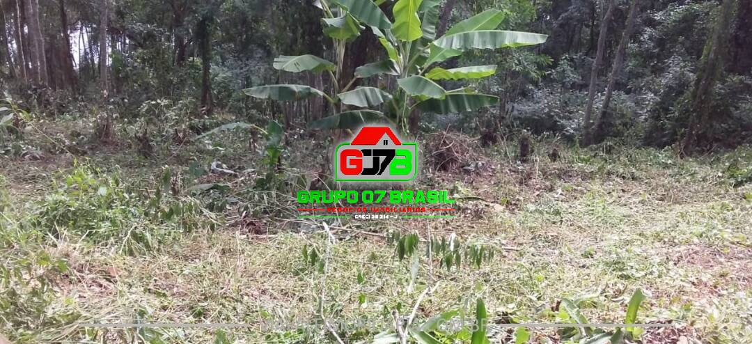 Terreno, 5440 m² - Foto 5