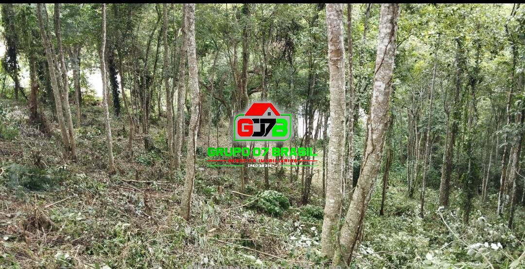 Terreno, 5440 m² - Foto 6