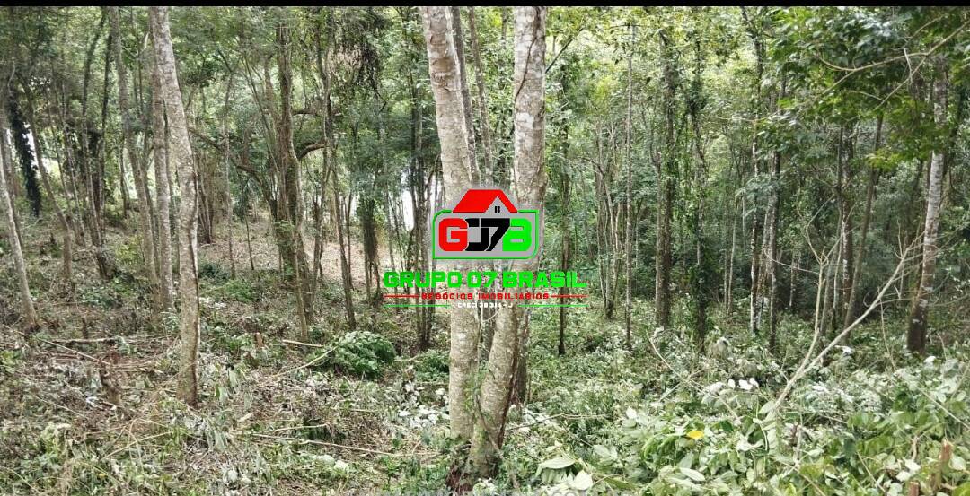 Terreno, 5440 m² - Foto 7