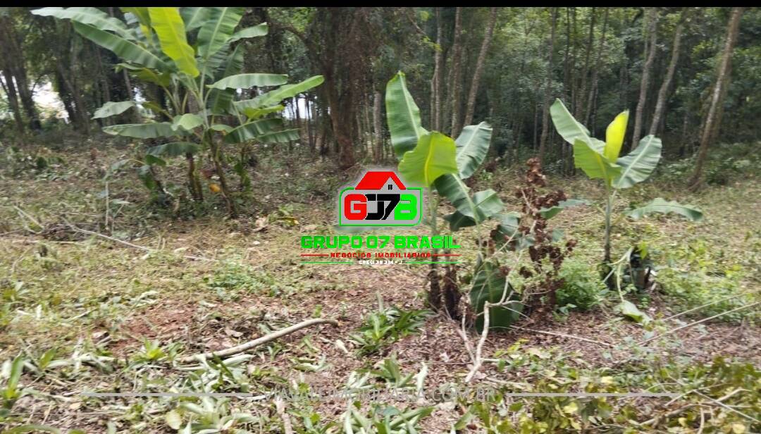 Terreno, 5440 m² - Foto 10