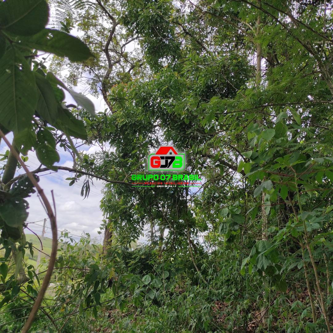 Terreno, 5000 m² - Foto 5