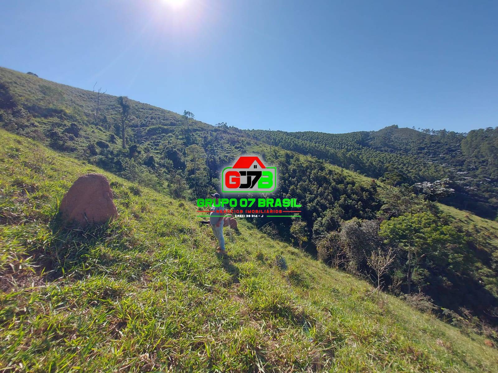 Terreno, 3 hectares - Foto 5