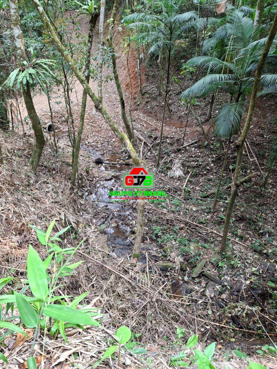 Terreno, 2 hectares - Foto 9