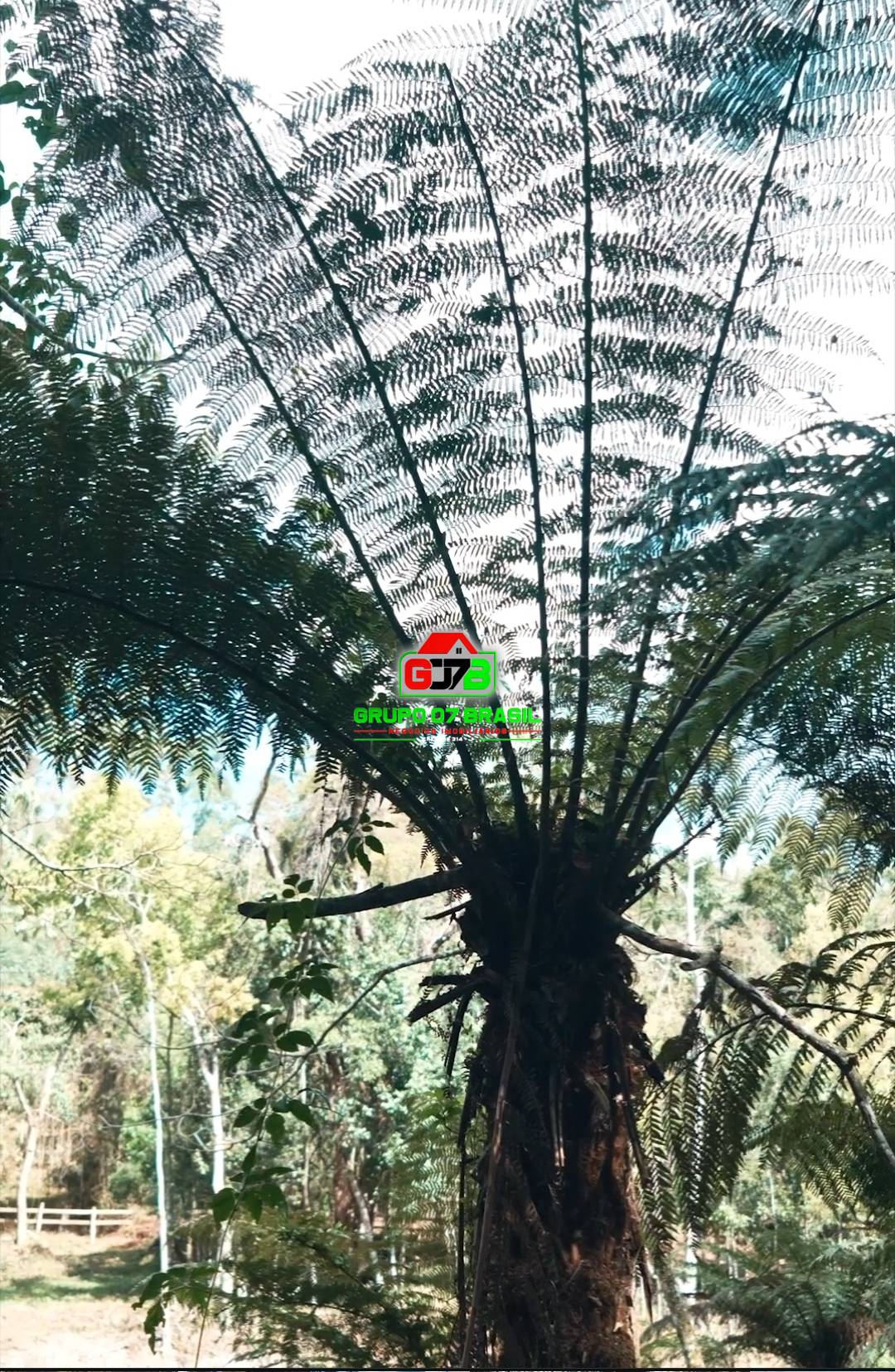 Terreno, 1 hectares - Foto 1