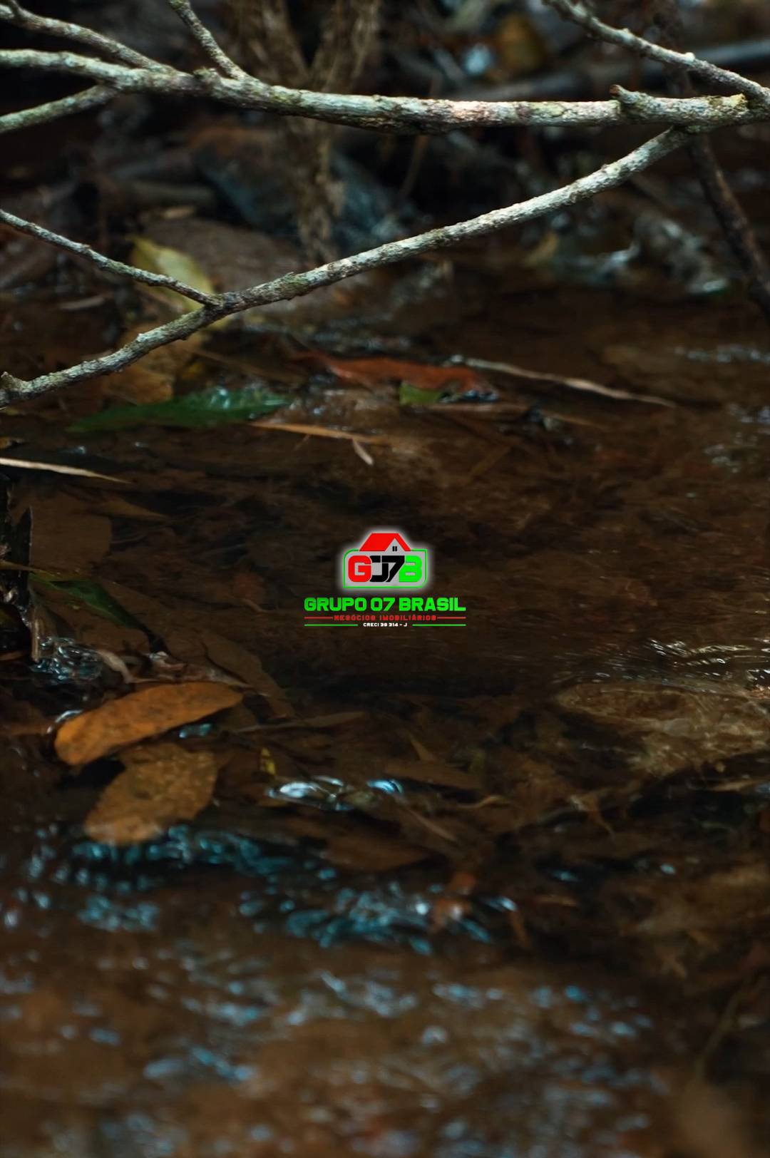 Terreno, 1 hectares - Foto 3