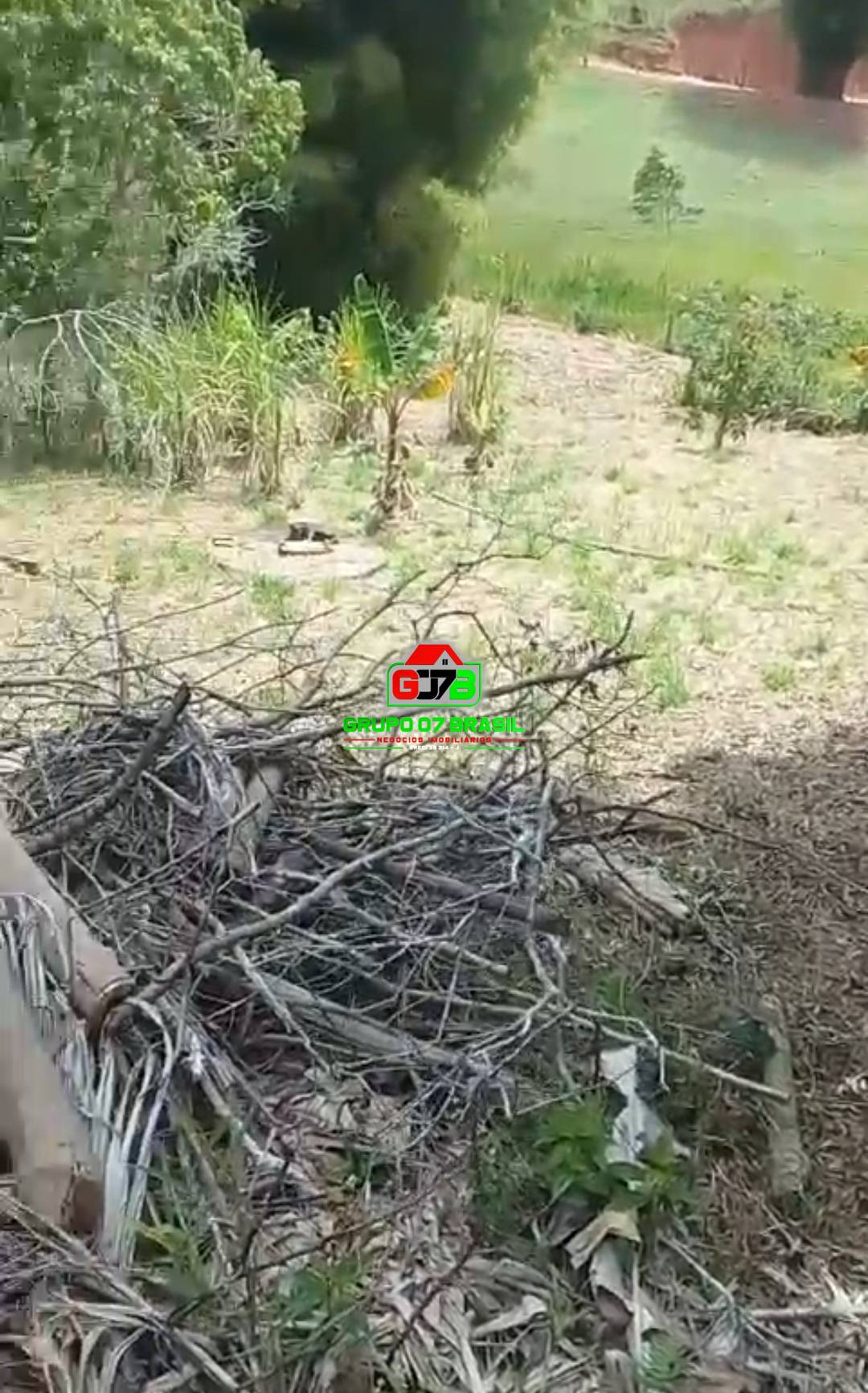 Chácara, 3 quartos, 1500 m² - Foto 5