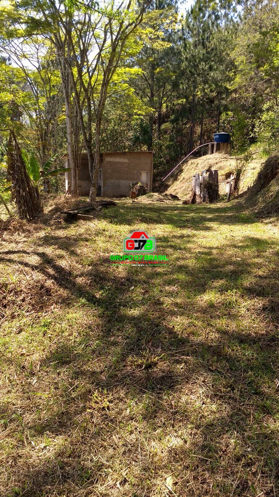 Terreno, 5000 m² - Foto 4