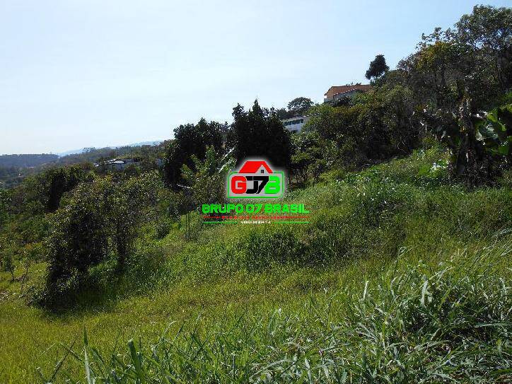 Terreno, 16 hectares - Foto 3