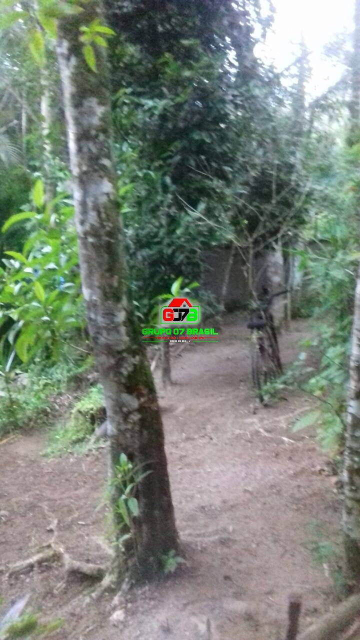 Casa, 2 quartos, 1000 m² - Foto 5