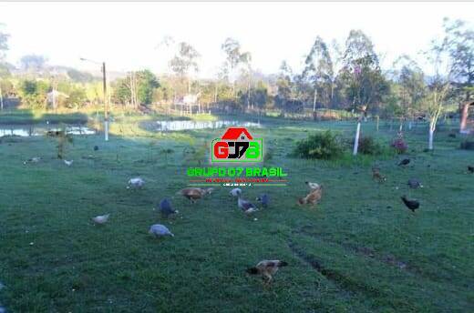 Terreno à venda, 13000m² - Foto 5